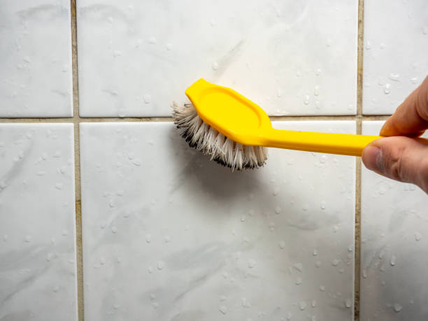 Best Residential Mold Remediation in Starbuck, MN