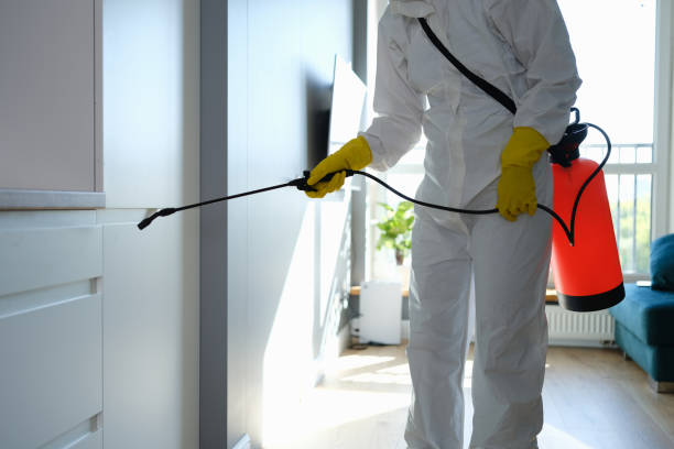 Best Commercial Mold Remediation in Starbuck, MN