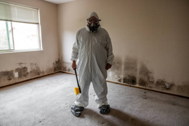Best Kitchen Mold Remediation in Starbuck, MN